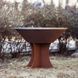 Дров'яний гриль-вогнище Ahos Olympic 750 Low, іржавий AHOS OLYMPIC 750 LOW RUST фото 6