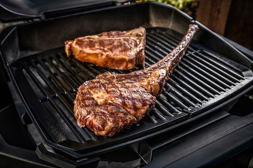 Электрический гриль WEBER PULSE 2000 с подставкой PULSE CART 85010079 фото Электрический гриль WEBER PULSE 2000 с подставкой PULSE CART 85010079 фото