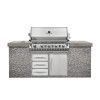 Газовый гриль Prestige BIPRO 665 из нержавеющей стали ВЕРТЕЛ В КОМПЛЕКТЕ BIPRO665RBPSS-3-RC фото